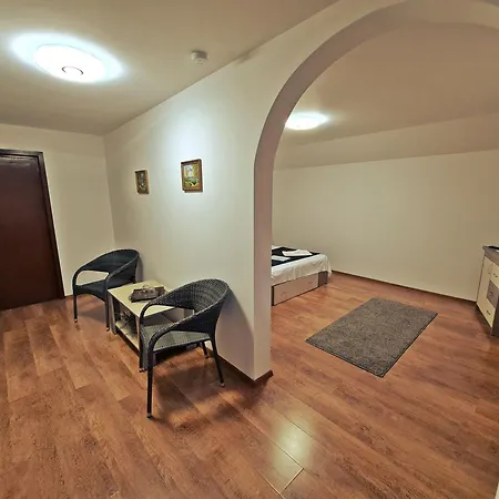 Casa Leu Curtea de Argeş