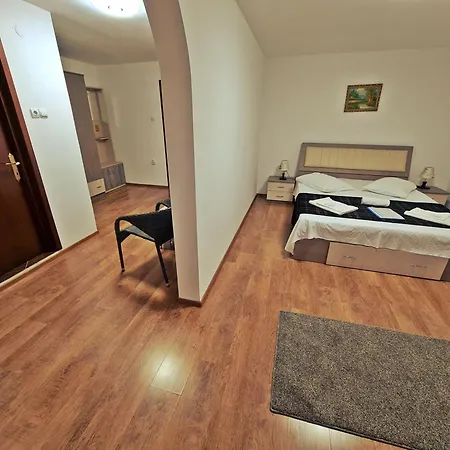 Casa Leu Curtea de Argeş